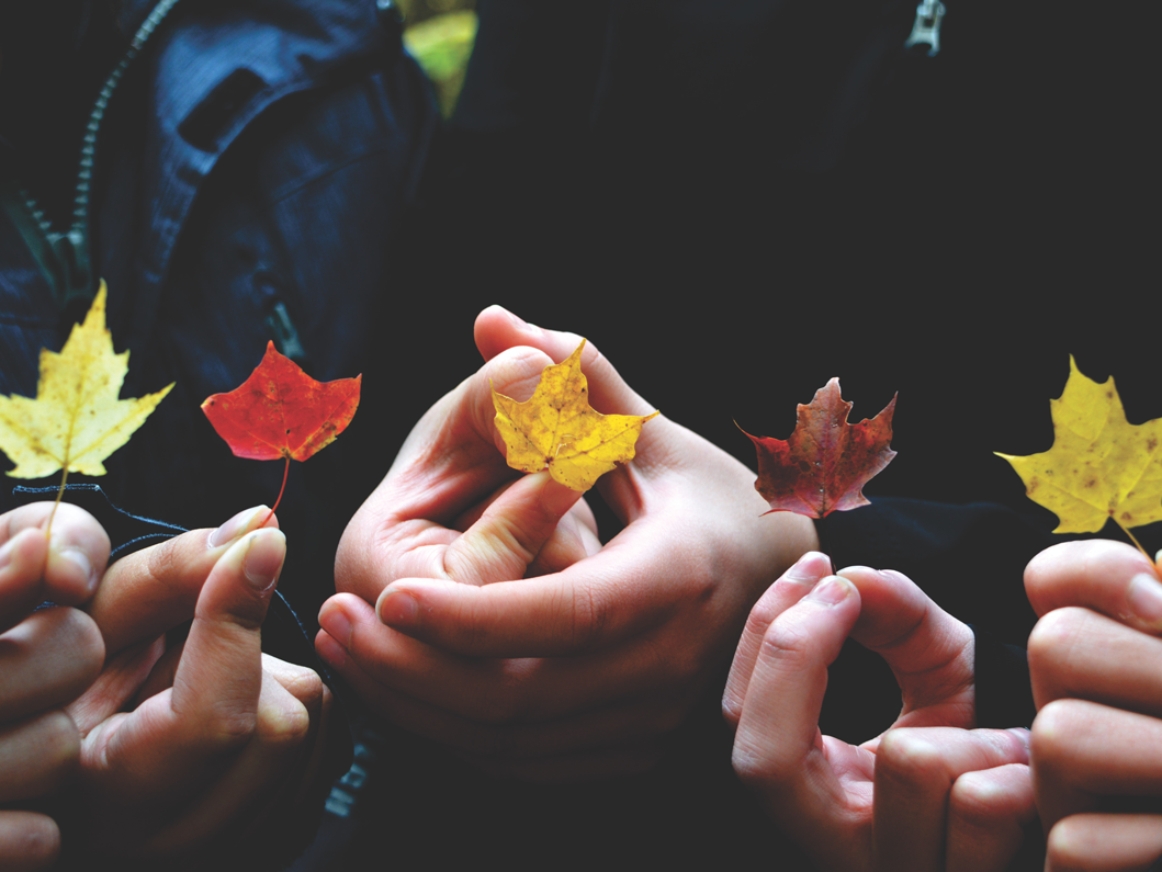 persone con in mano foglie dai colori autunnali